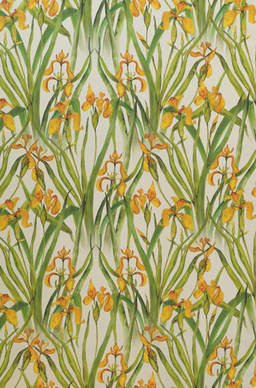 Wild Iris Small Wallpaper