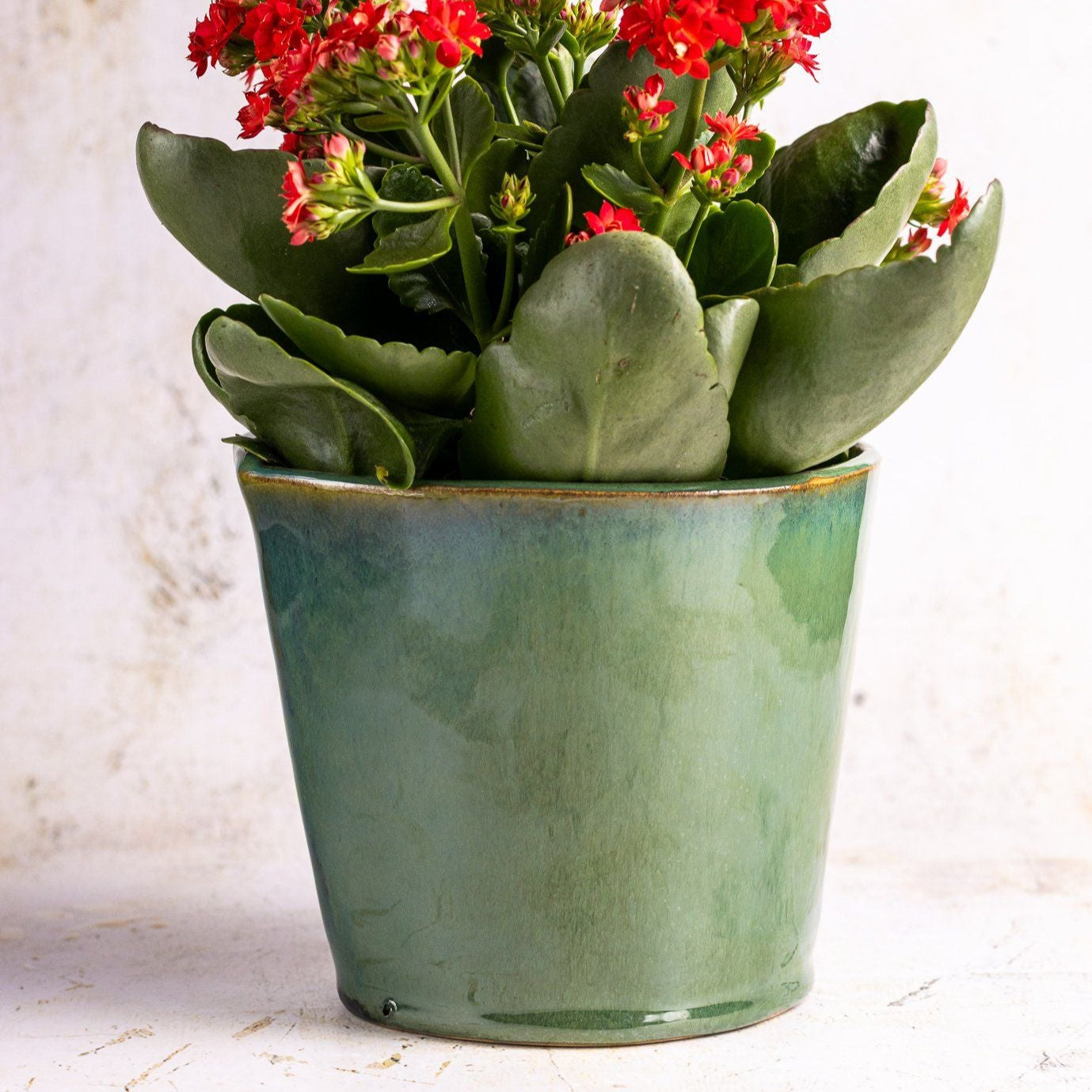 Millfileld Large Plant Pot