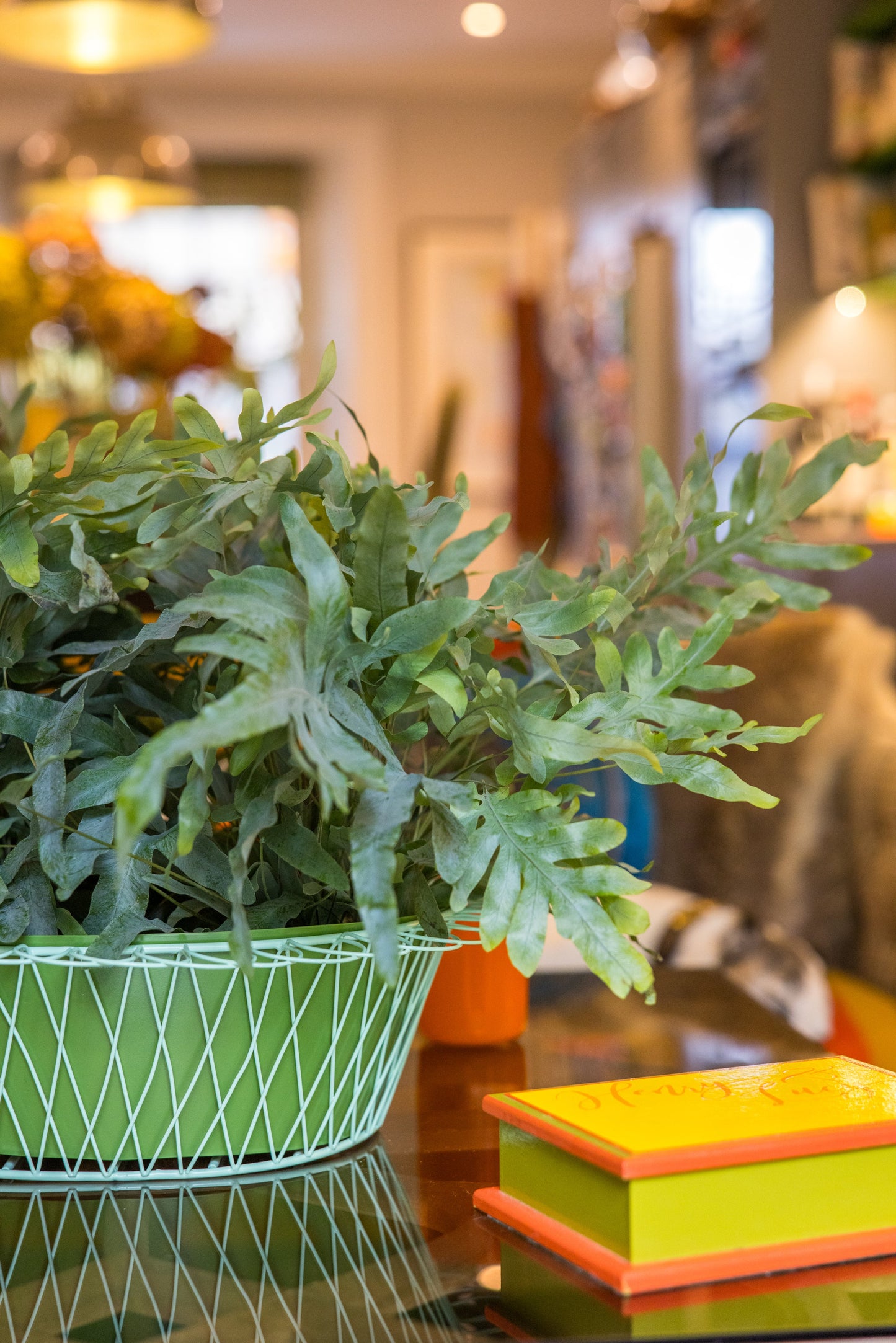 Wire Basket Planter | Apple Green & Turquoise