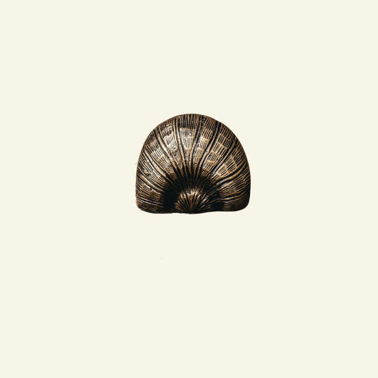 Cove Shell Knob, Antique Brass