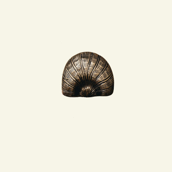 Cove Shell Knob, Antique Brass
