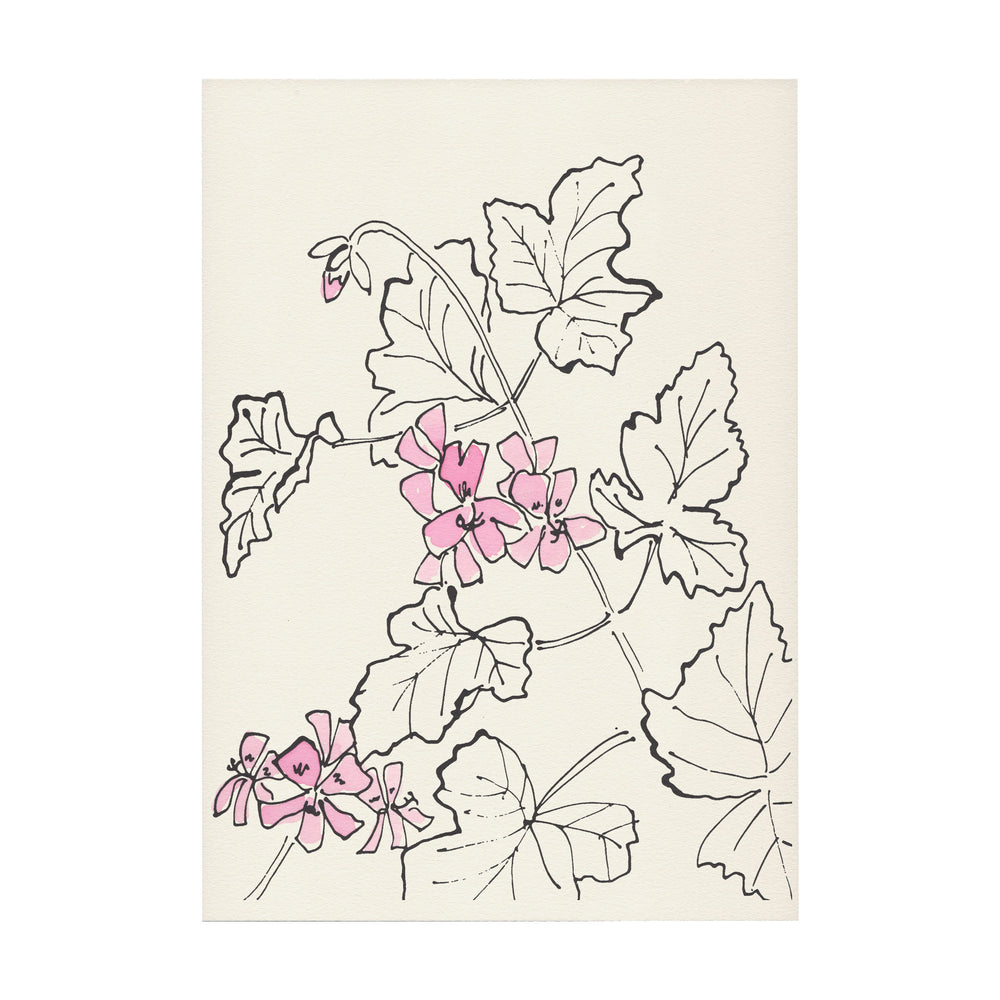 Pelargonium Print