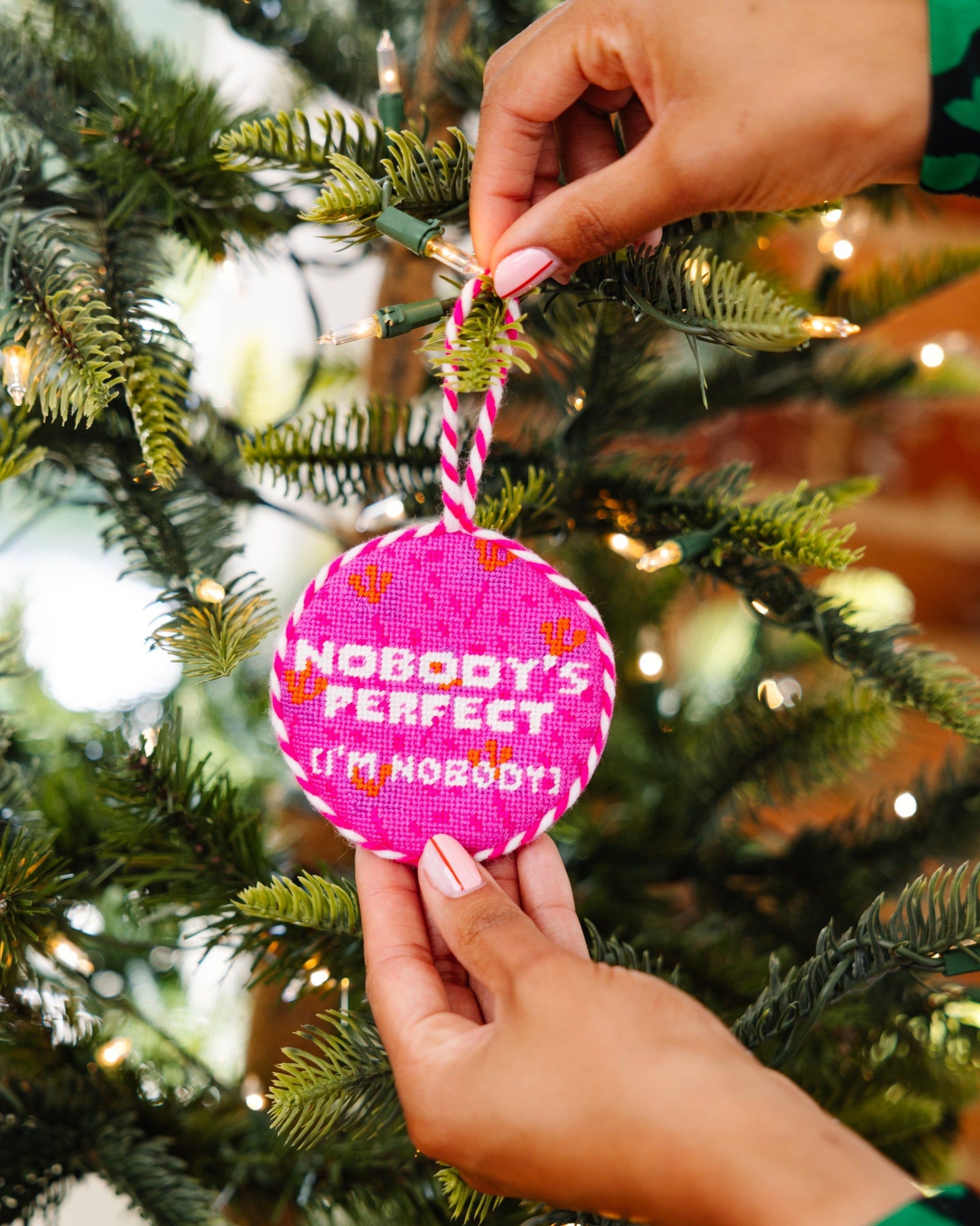 Needlepoint Ornament - Nobody Is Perfect