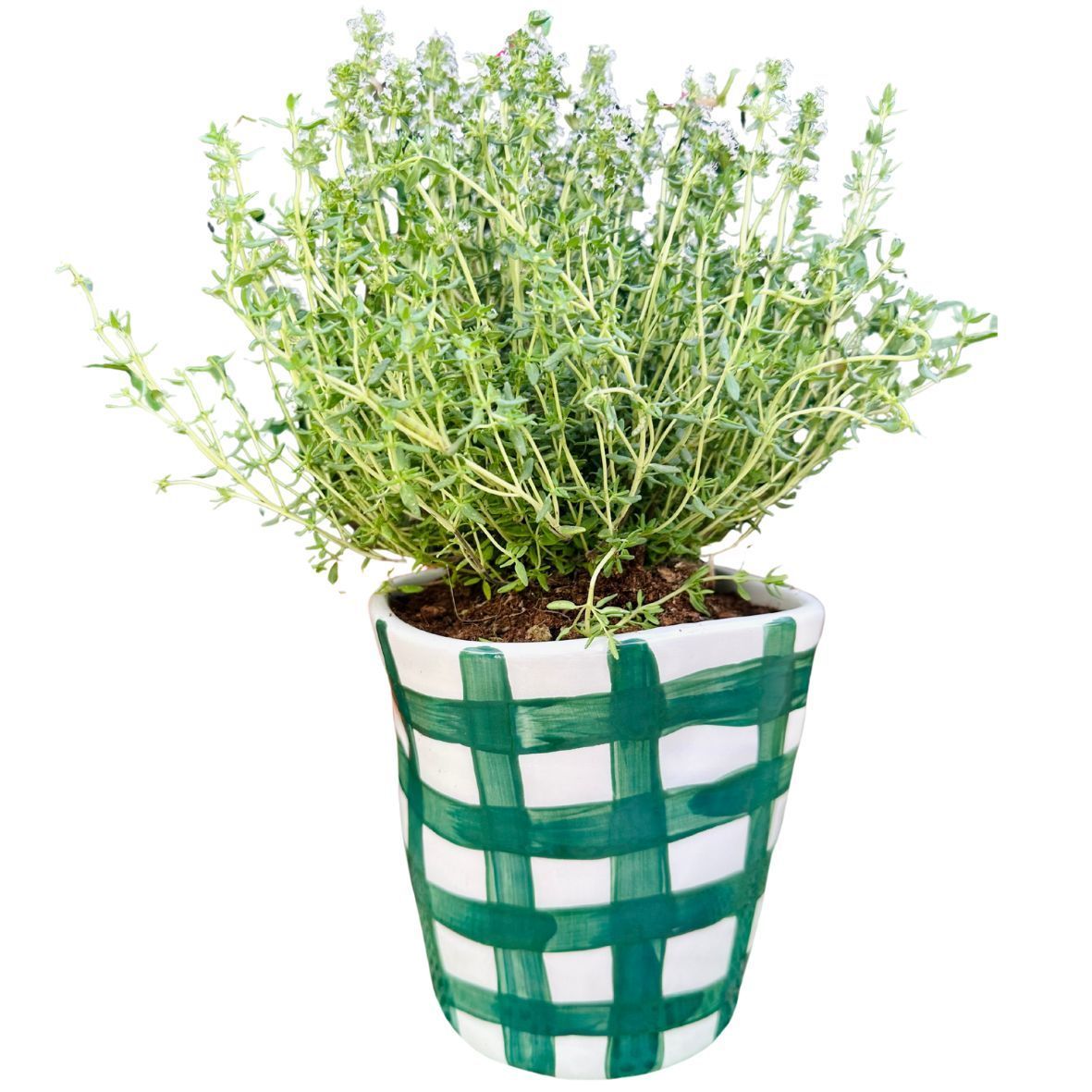 Vichy Green Planter