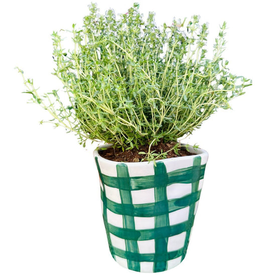Vichy Green Planter