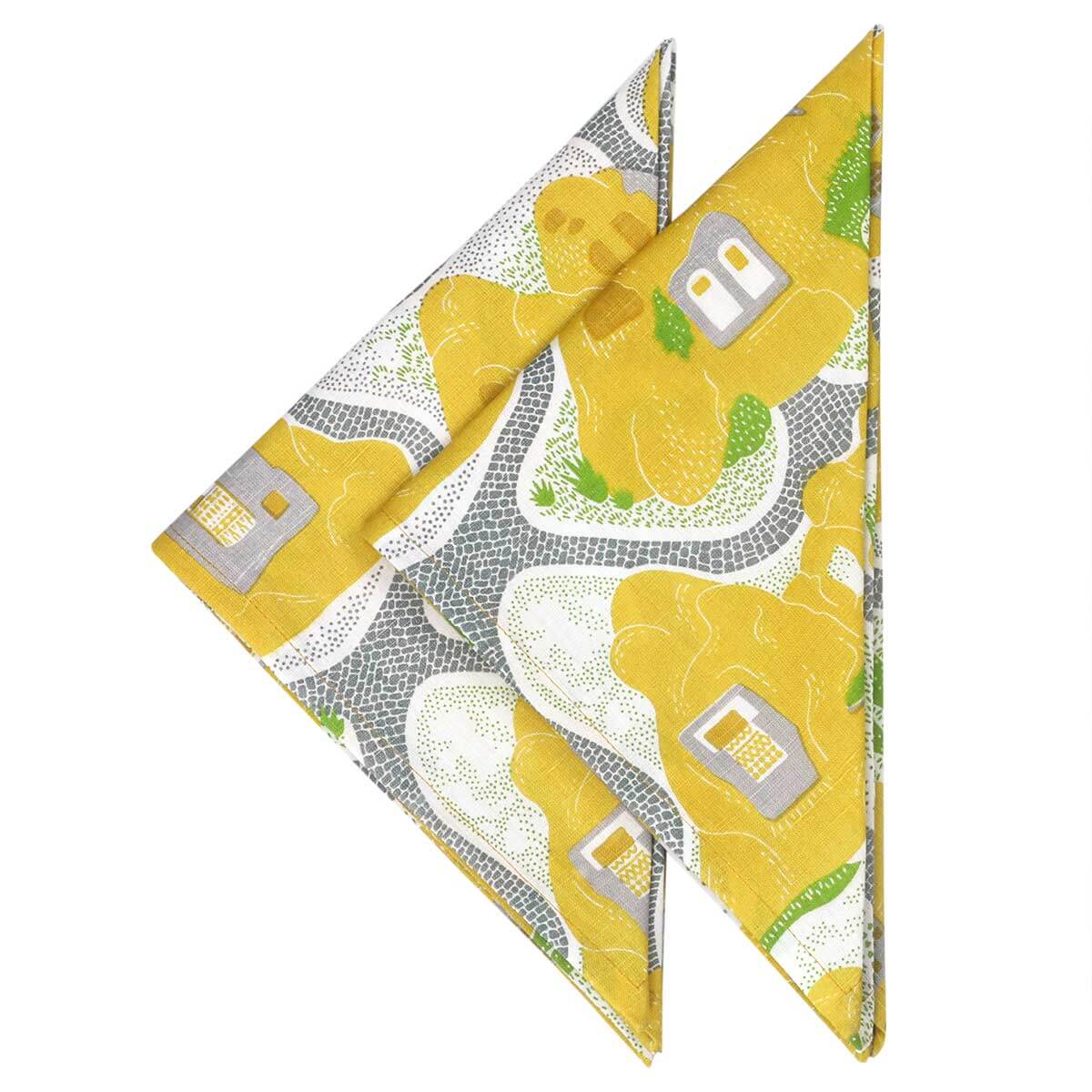 Cave House Napkins - Set of 2