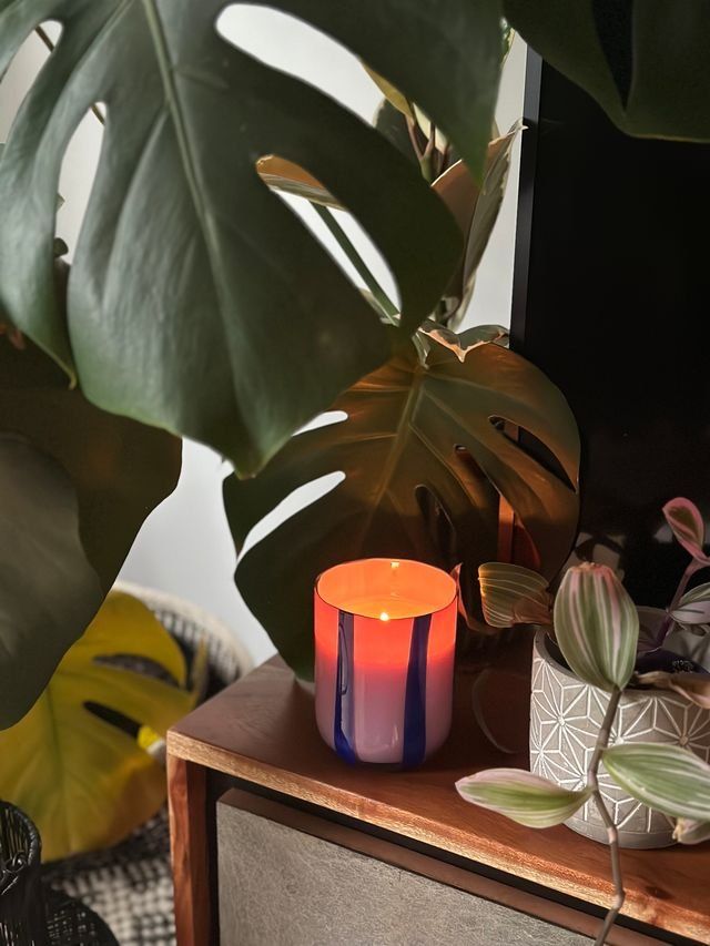 Atina Candle | Blackcurrant & Oudh Scented Candle