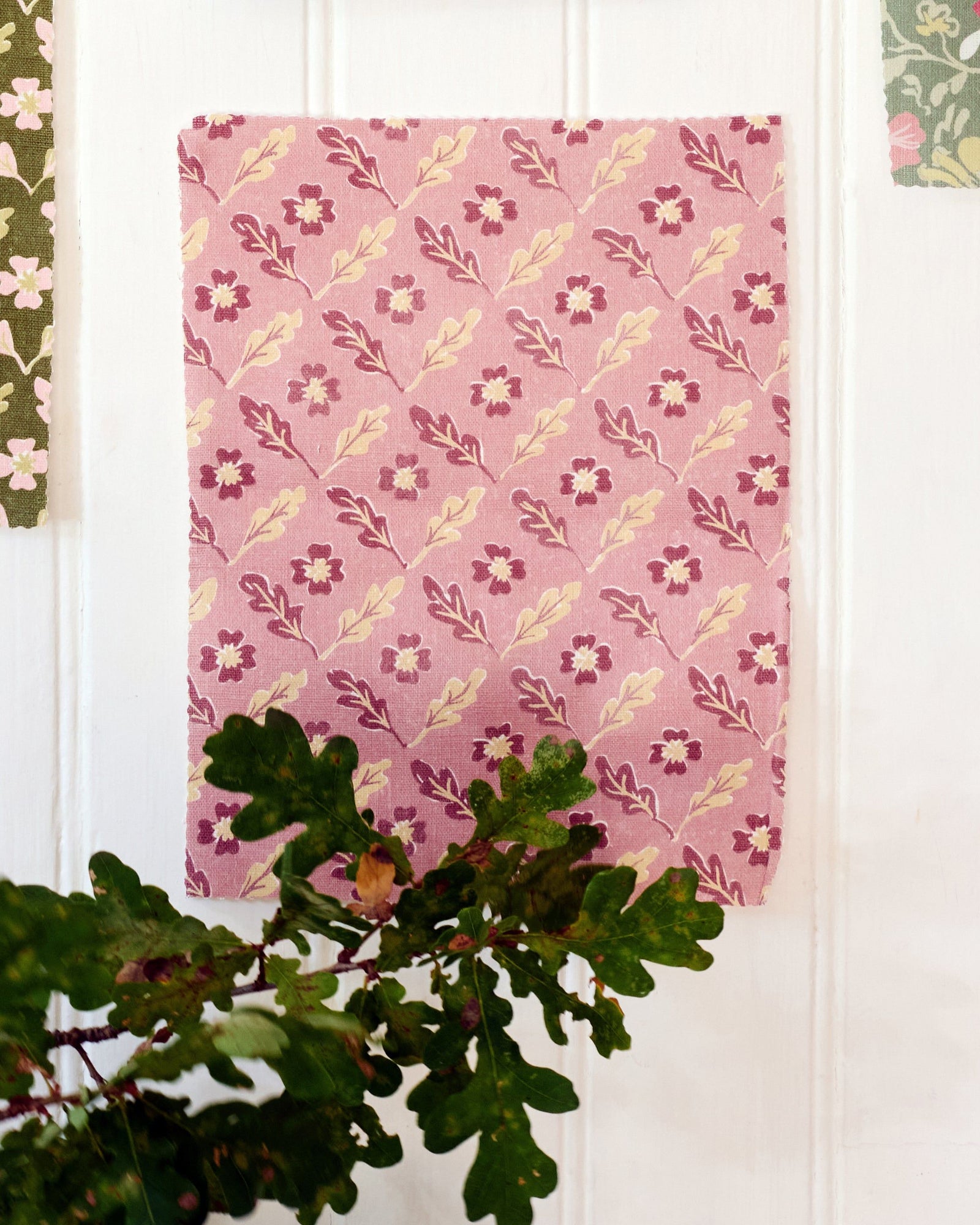 Oxalis Oak Linen - Rose