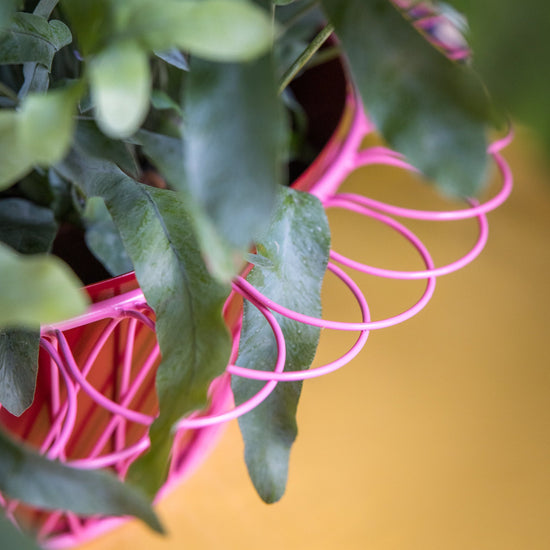 Wire Basket Planter | Ruby Red and Candy Pink