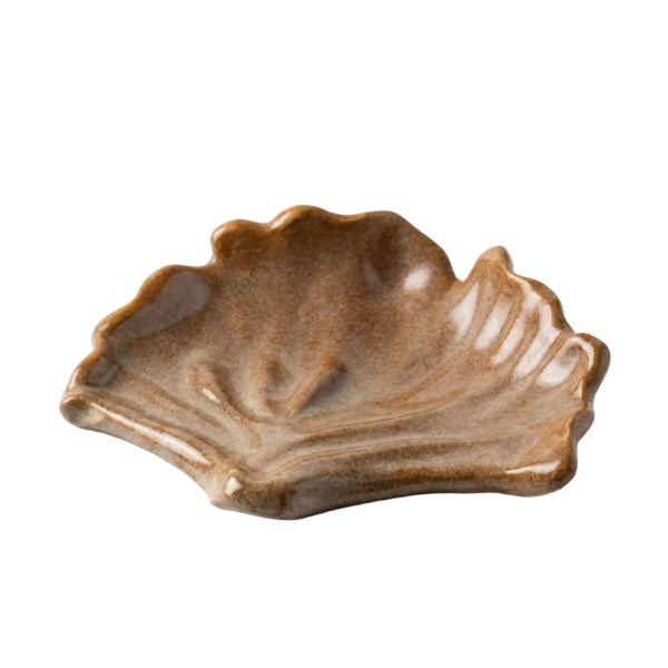 Ceramics Shell 01