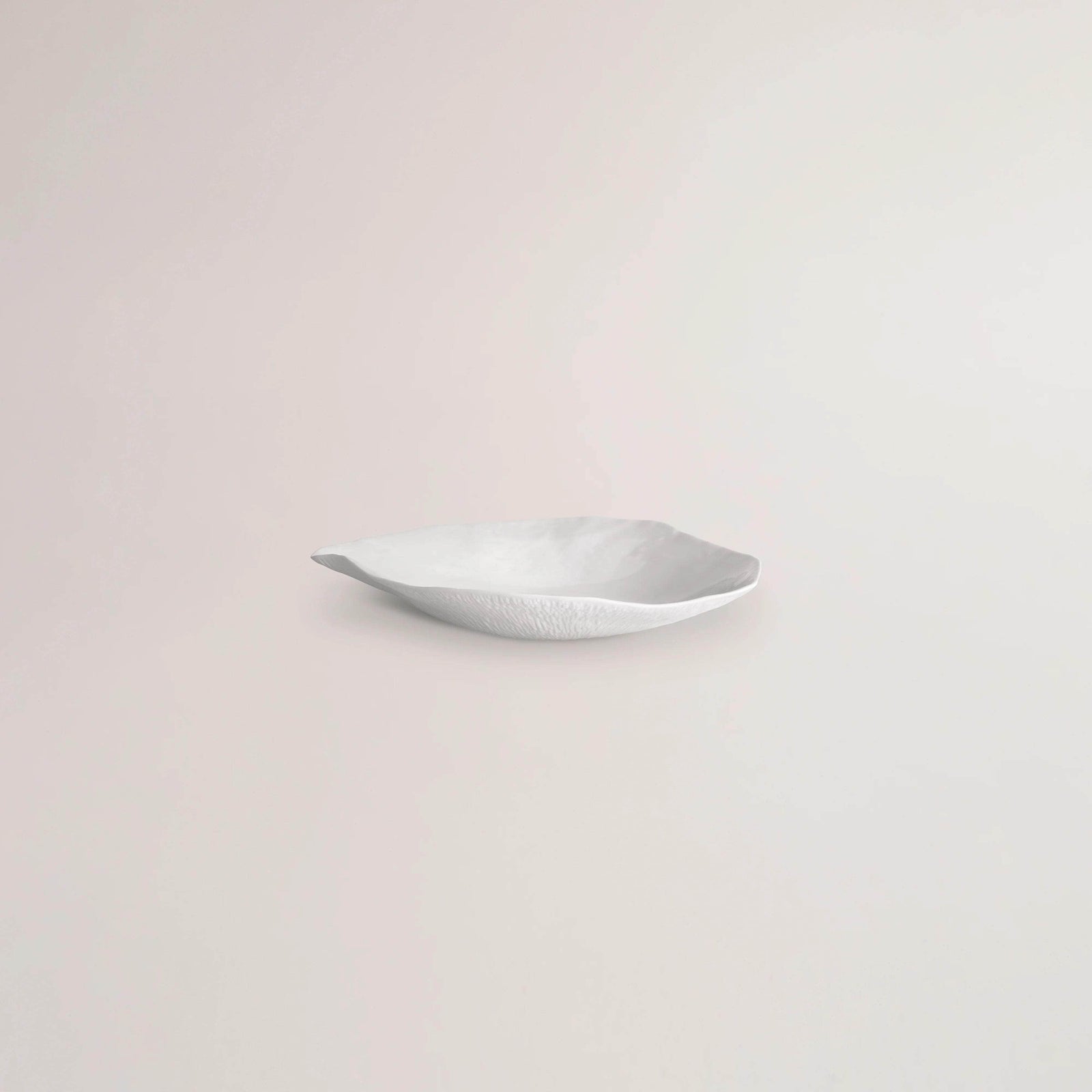 Set of 2 Large Dinner Plates / White / Indulge nº6