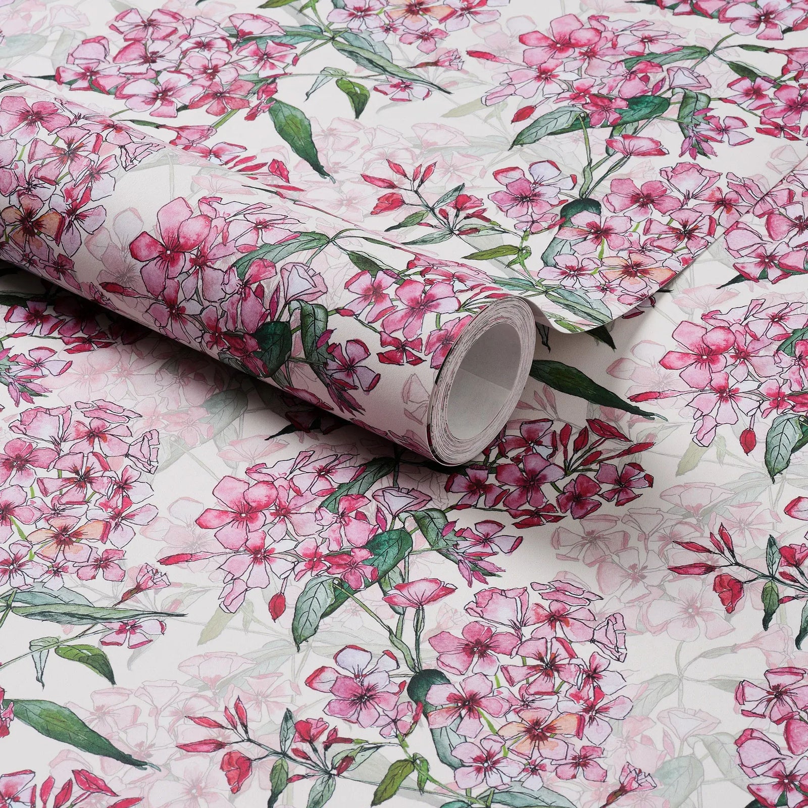 Pink Phlox Rows Wallpaper