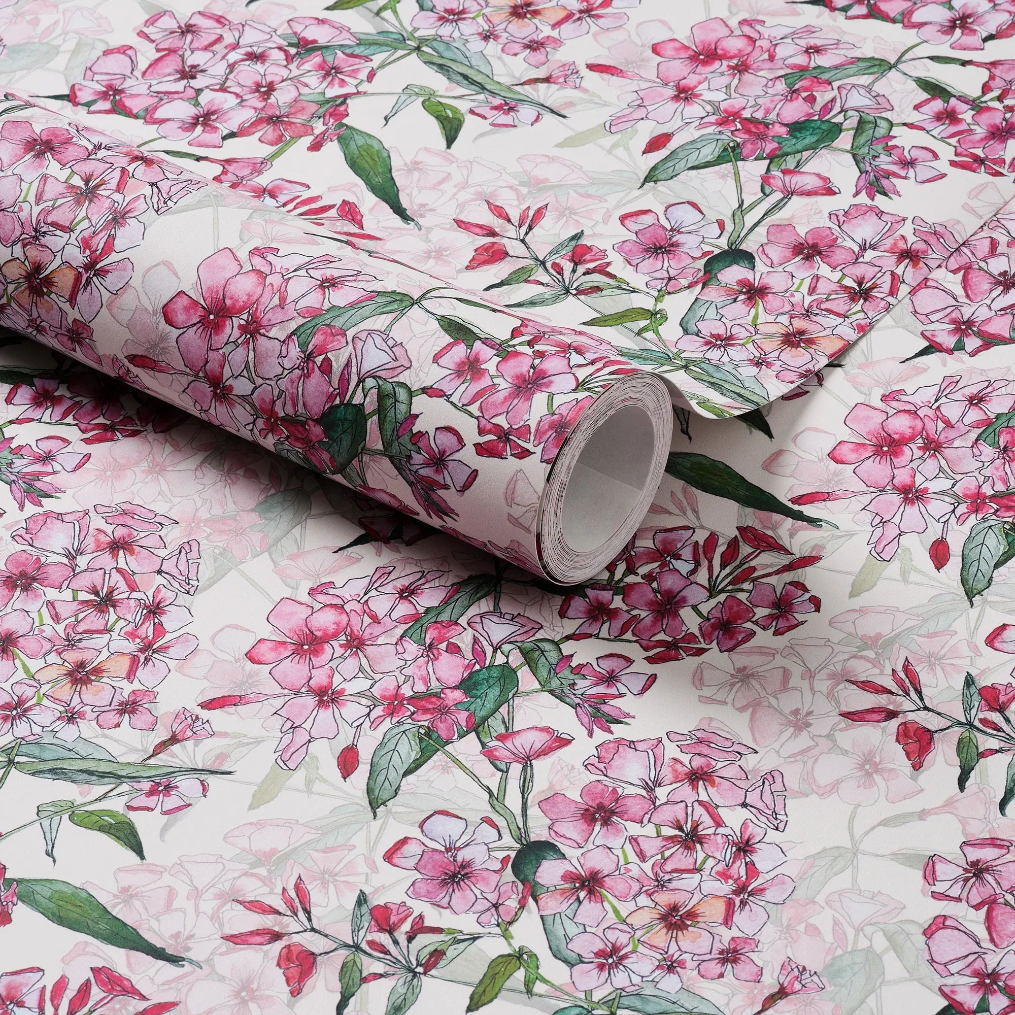 Pink Phlox Rows Wallpaper