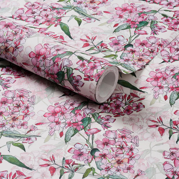 Pink Phlox Rows Wallpaper