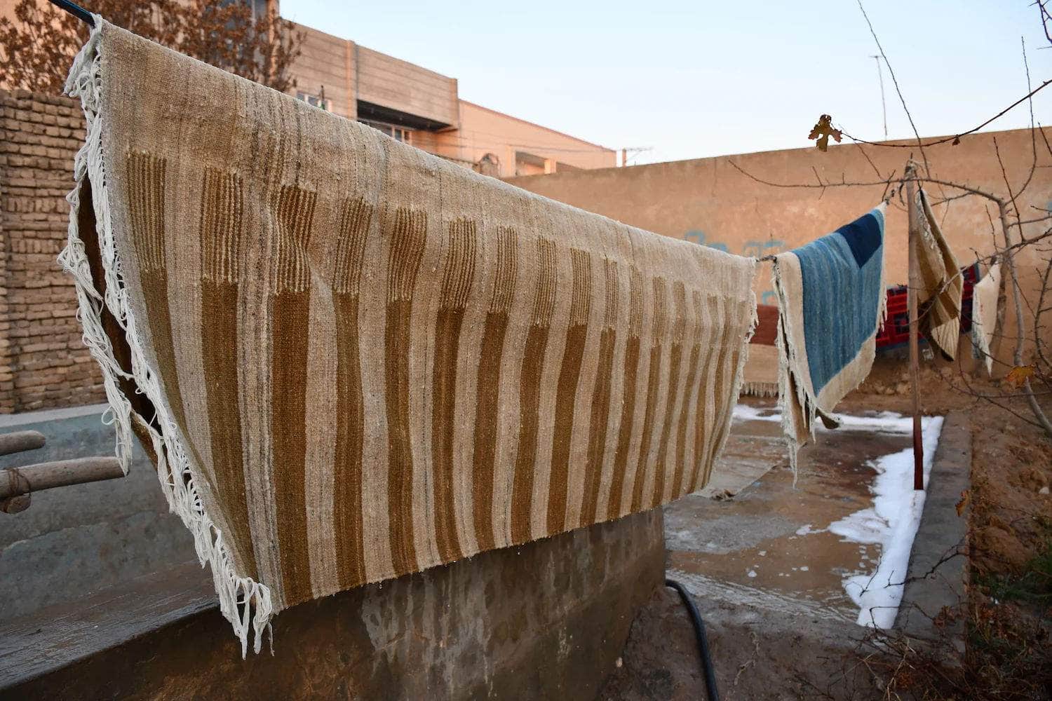Dasht-e Margo Flatweave Runner