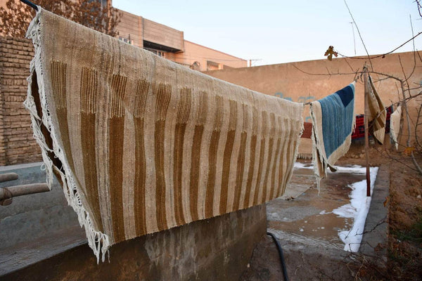 Dasht-e Margo Flatweave Runner