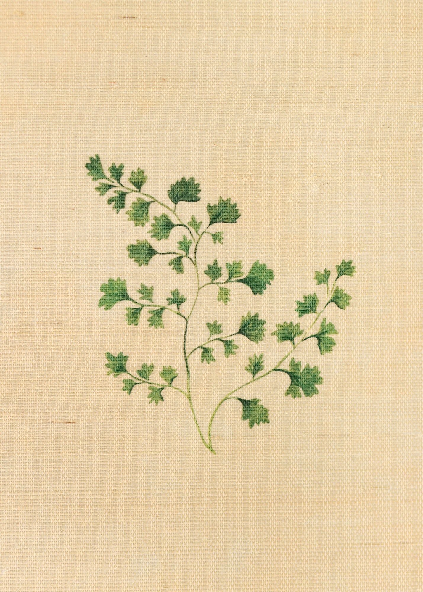 Herbarium Forest Grasscloth Wallpaper - Blush