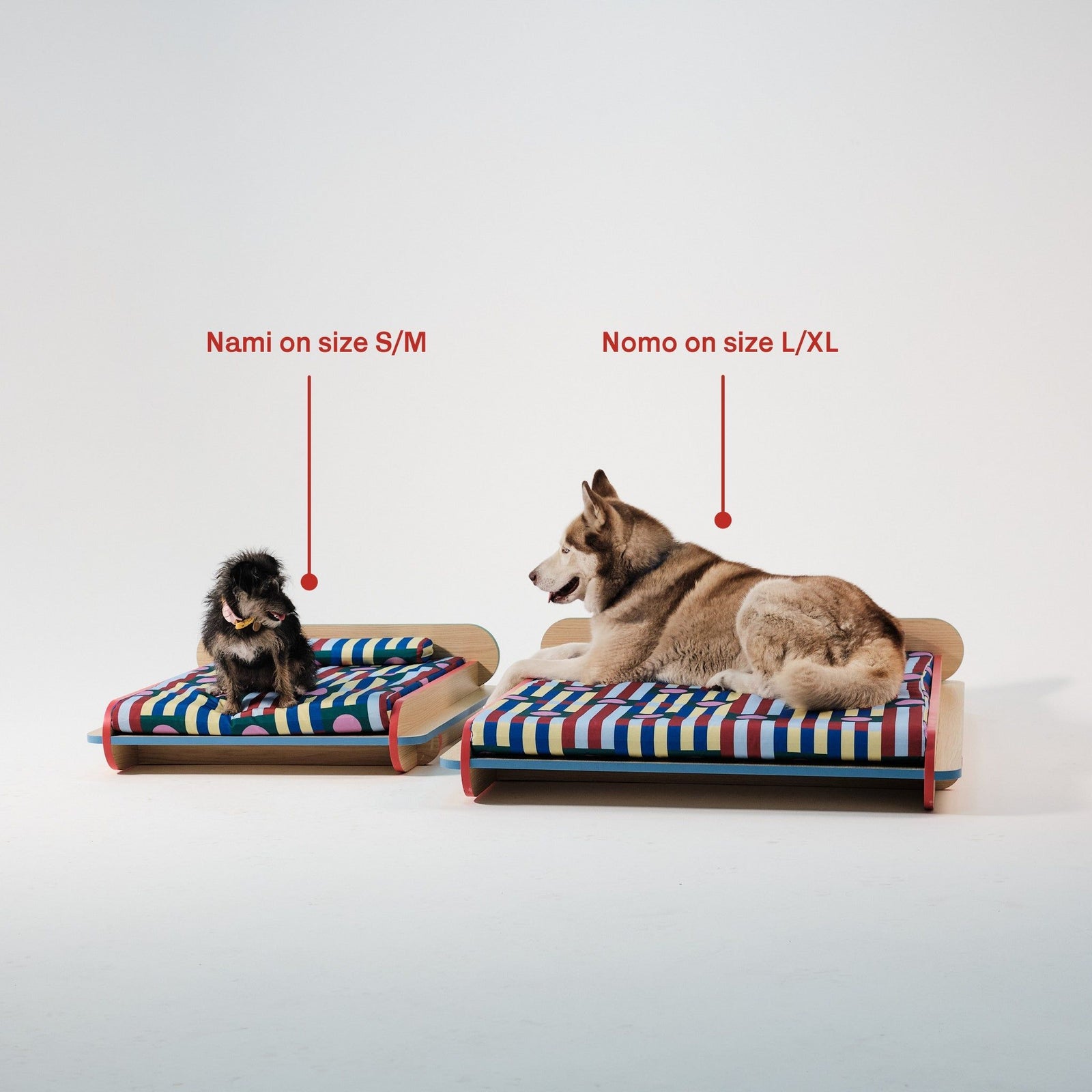 The Leo Bed – Modern Elevated Dog & Cat Bed