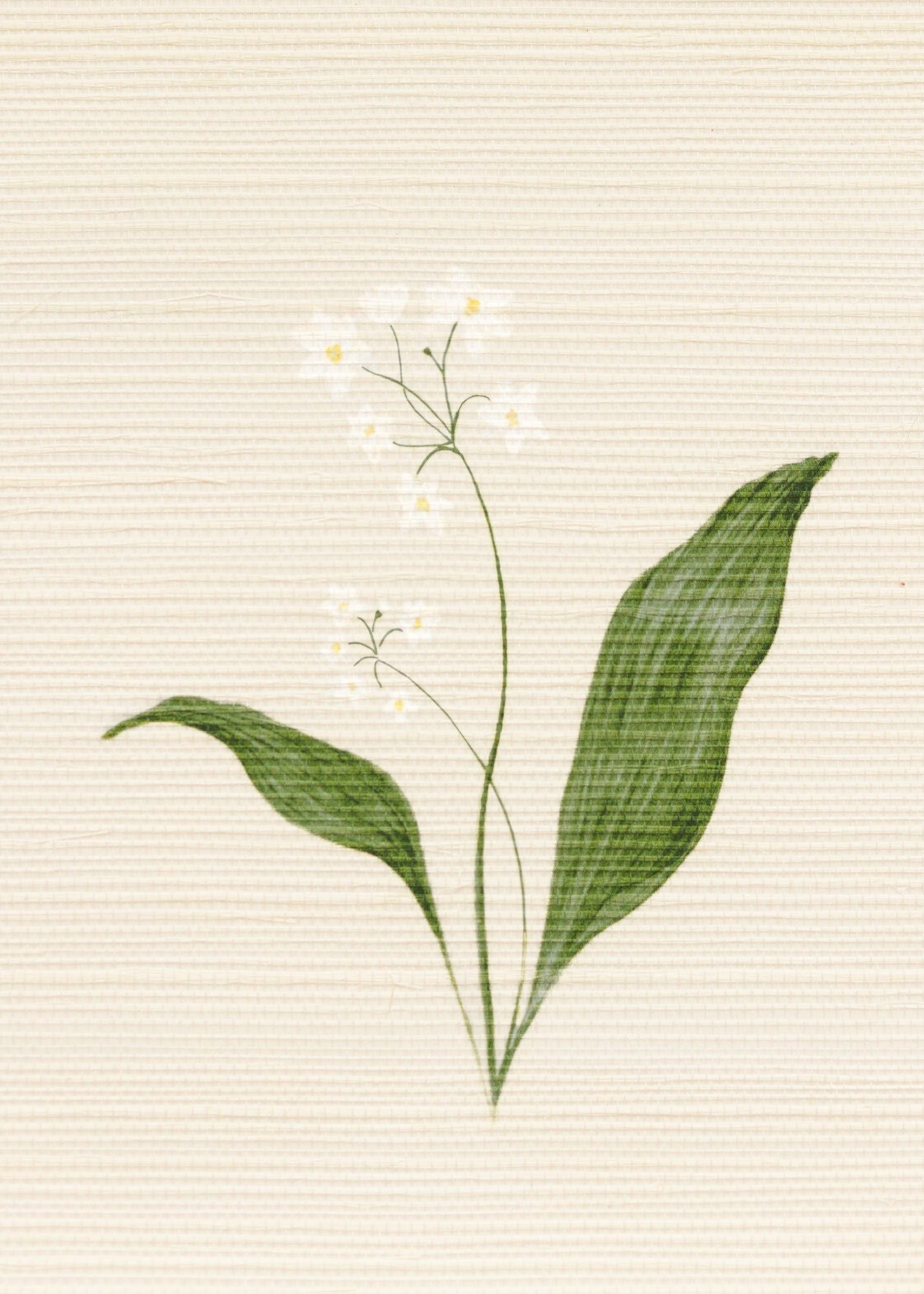 Herbarium Forest Grasscloth Wallpaper - Ivory