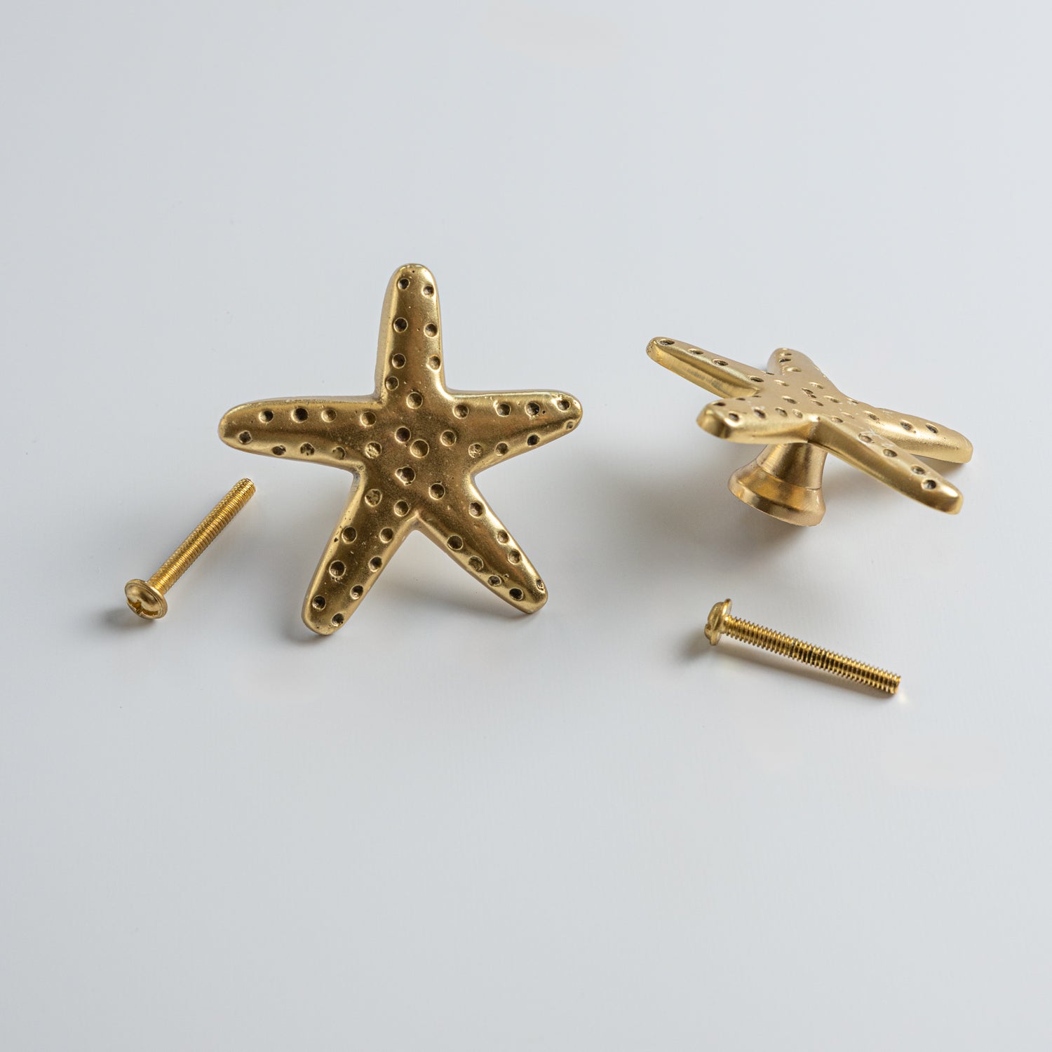 Starfish Knob, Lacquered Brass