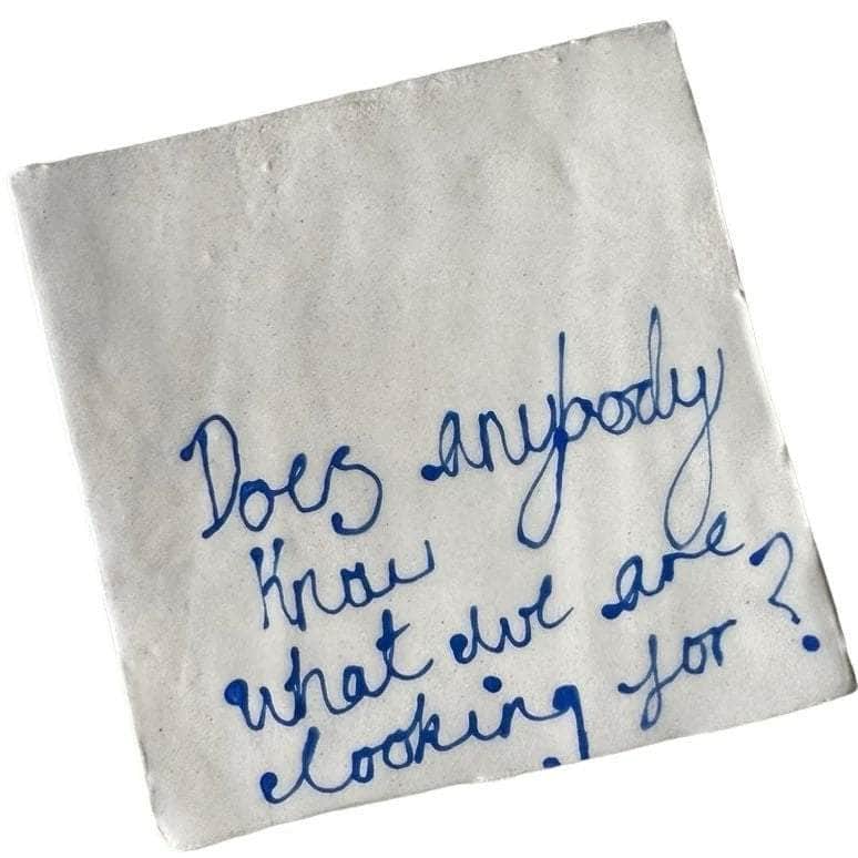 Does Anybody Coaster