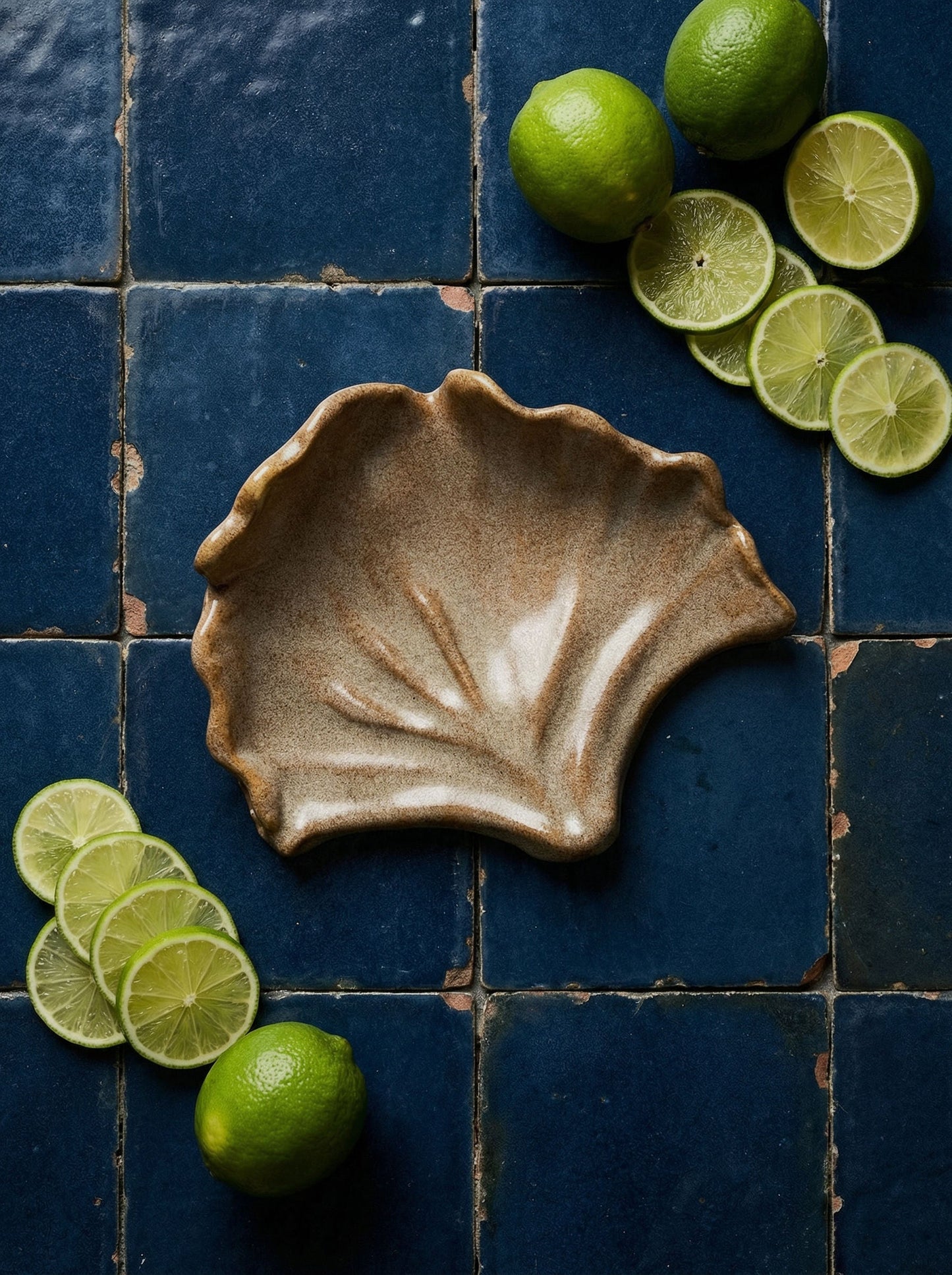 Ceramics Shell 01