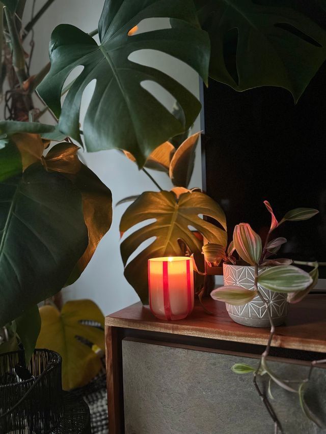 Atina Scented Candle | Orange Blossom & Basil