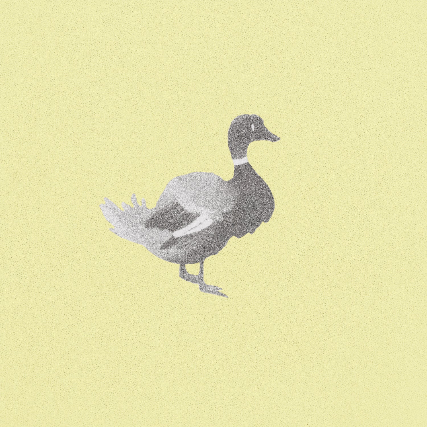 Ducks In A Row Wallpaper – BLYTHE