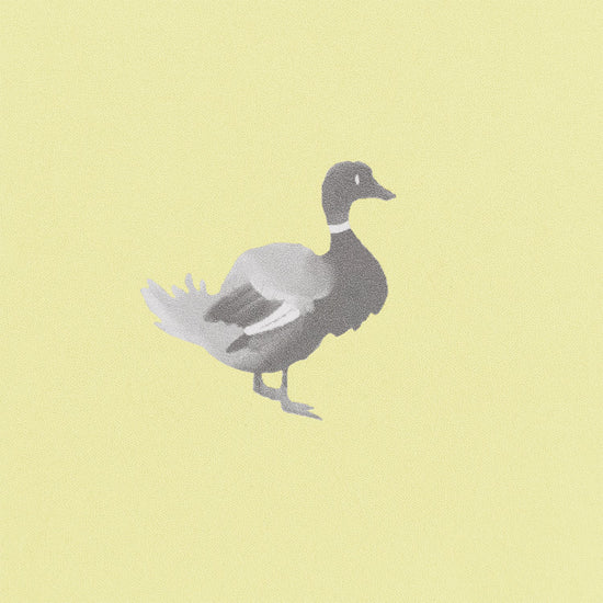 Ducks In A Row Wallpaper – BLYTHE