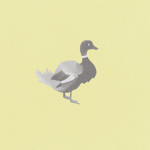 Ducks In A Row Wallpaper – BLYTHE