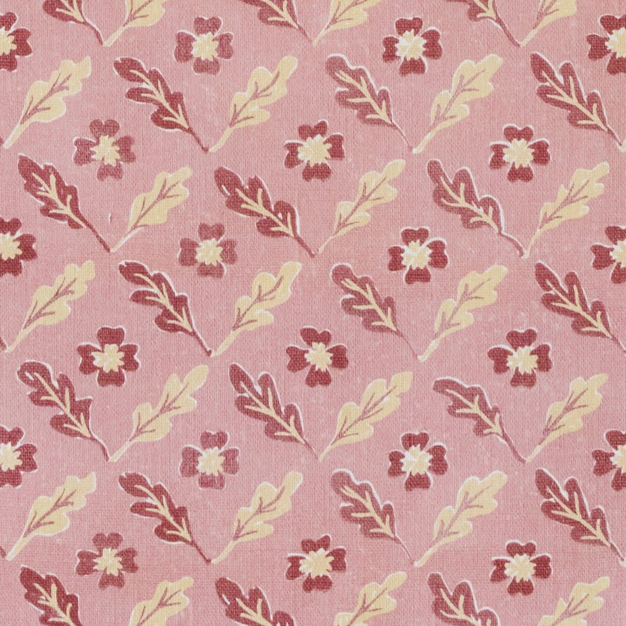 Oxalis Oak Linen - Rose