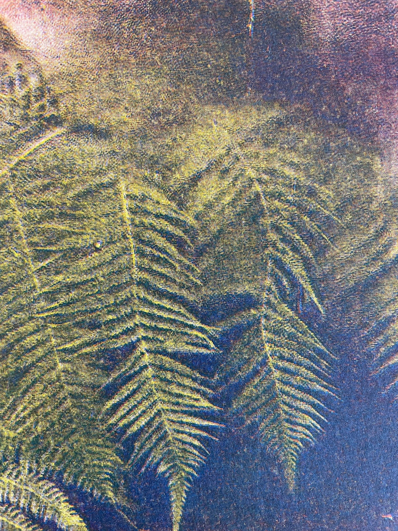 Ferns Against Botanical Window Print