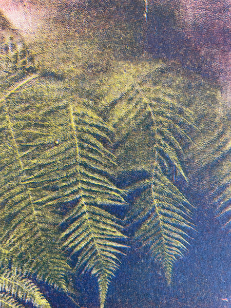Ferns Against Botanical Window Print