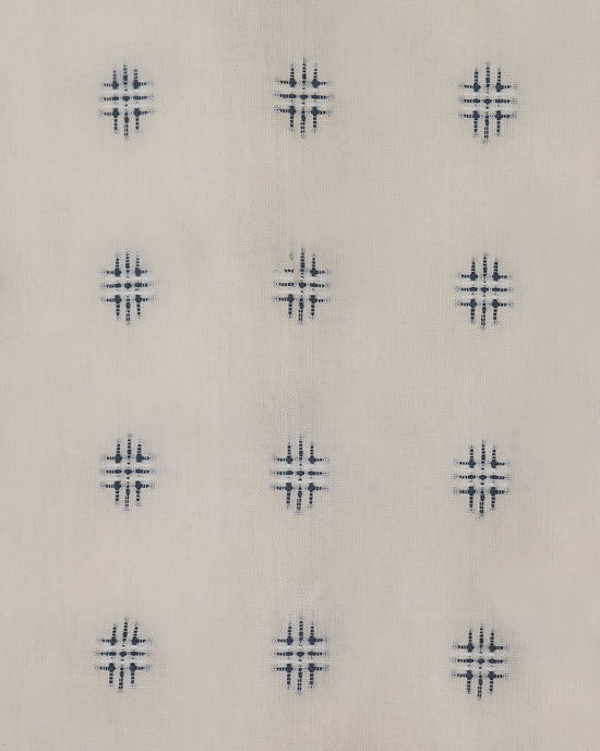 The Embroidered Cotton in Delphinium