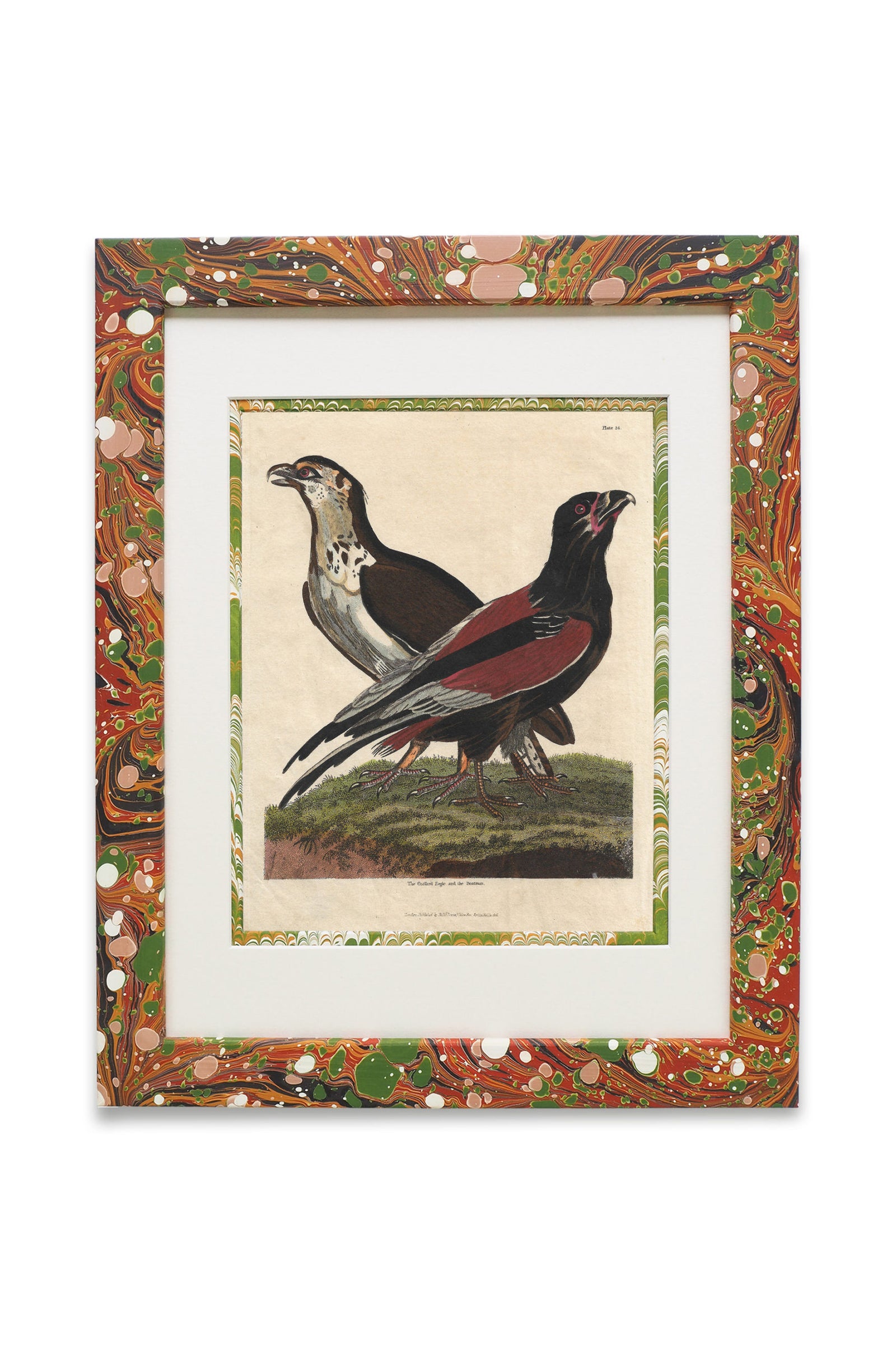 Buffon No.24 Igneus Framed Print