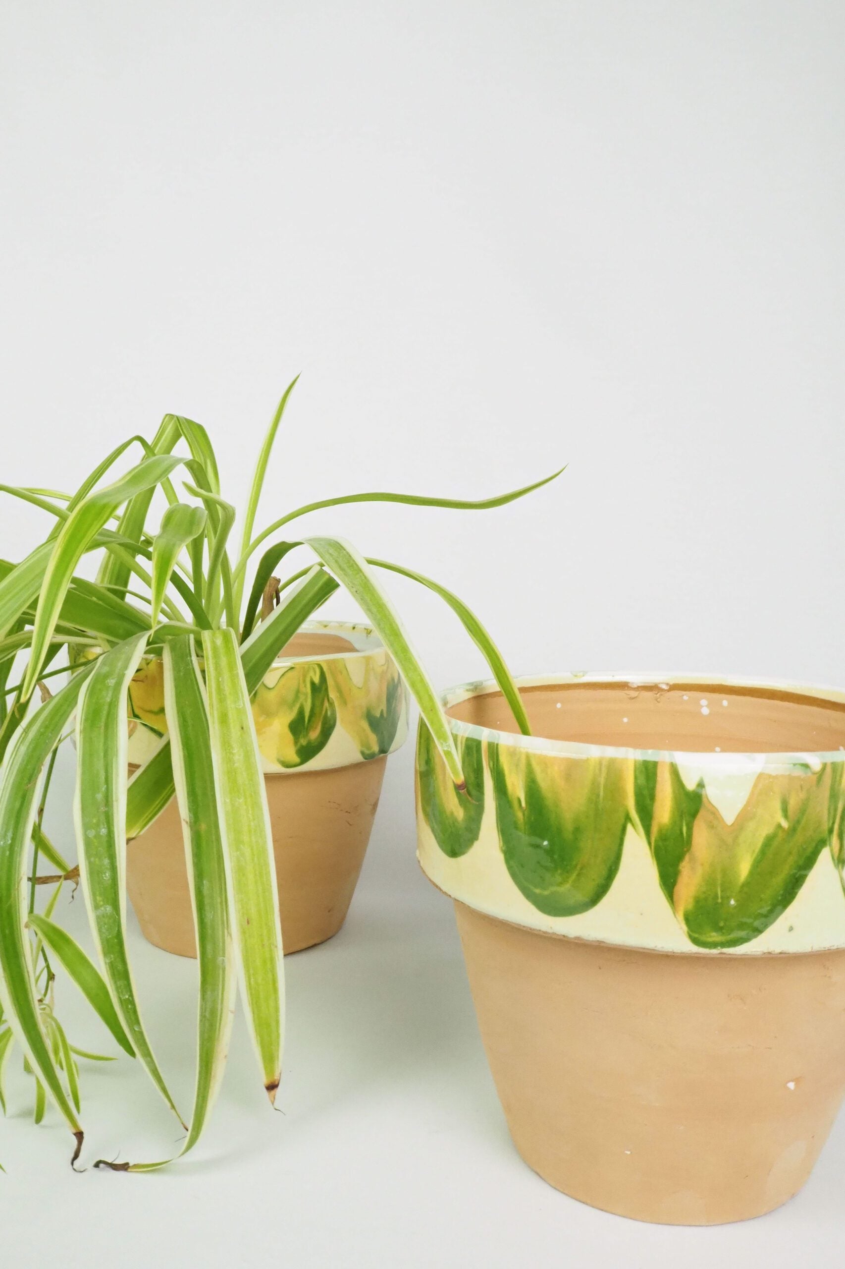 Yellow Marbled Terracotta Planter
