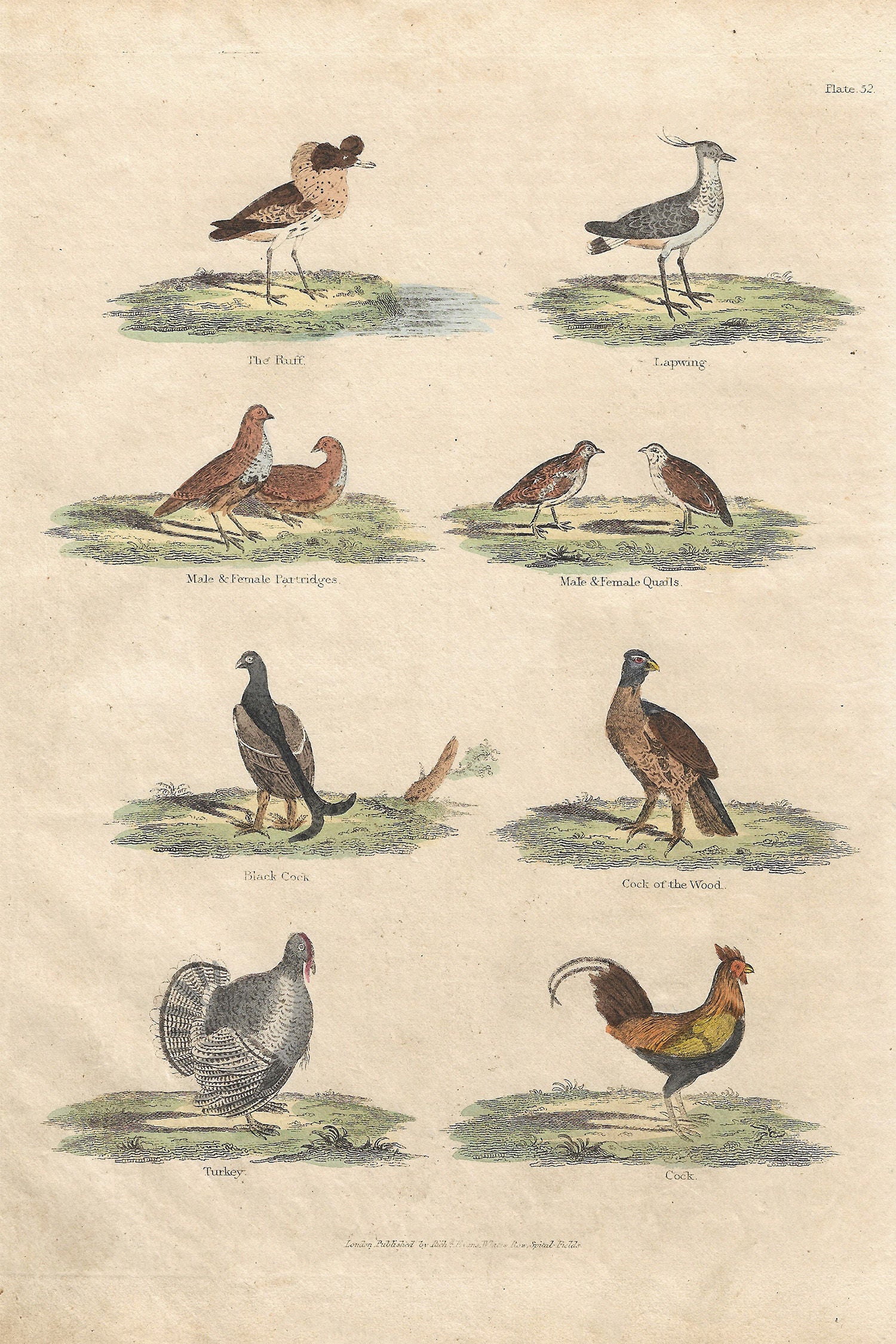 Buffon No.52 Glacier Framed Print