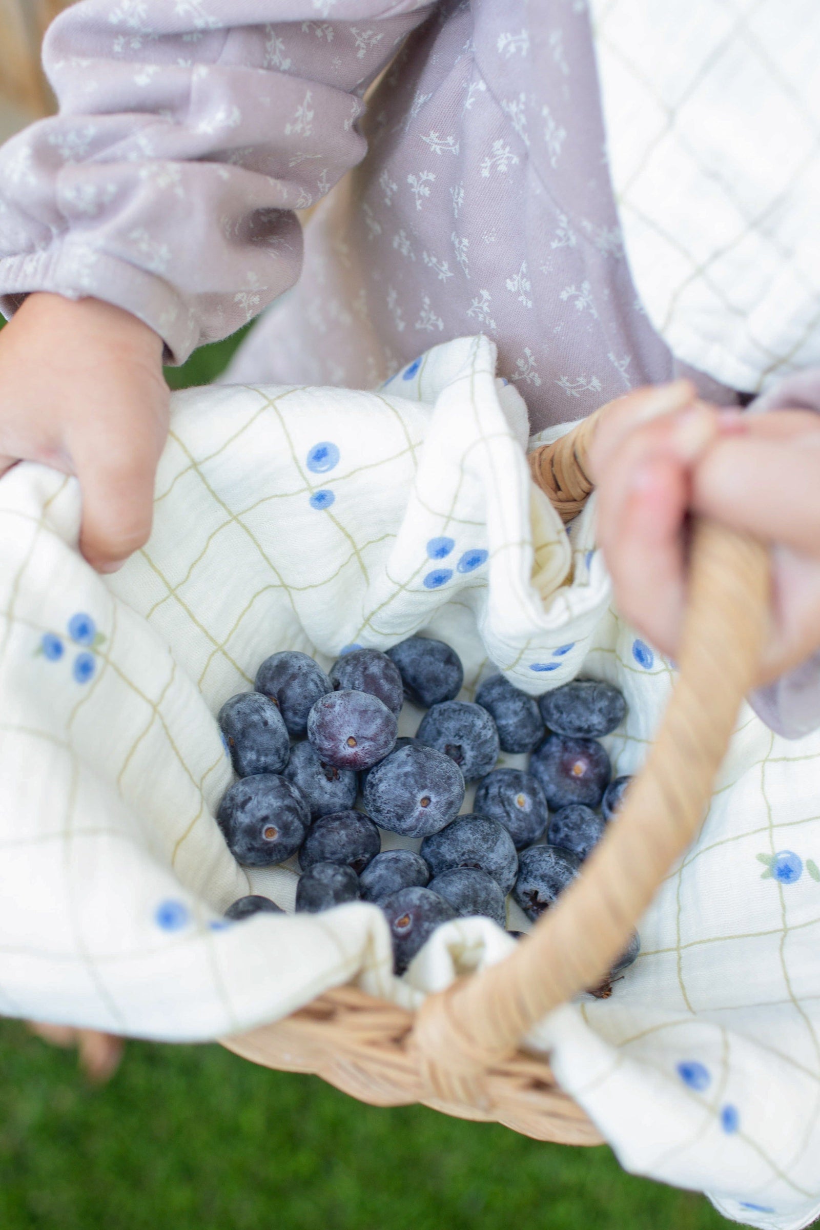 Soft Squares – Complete, Holiday