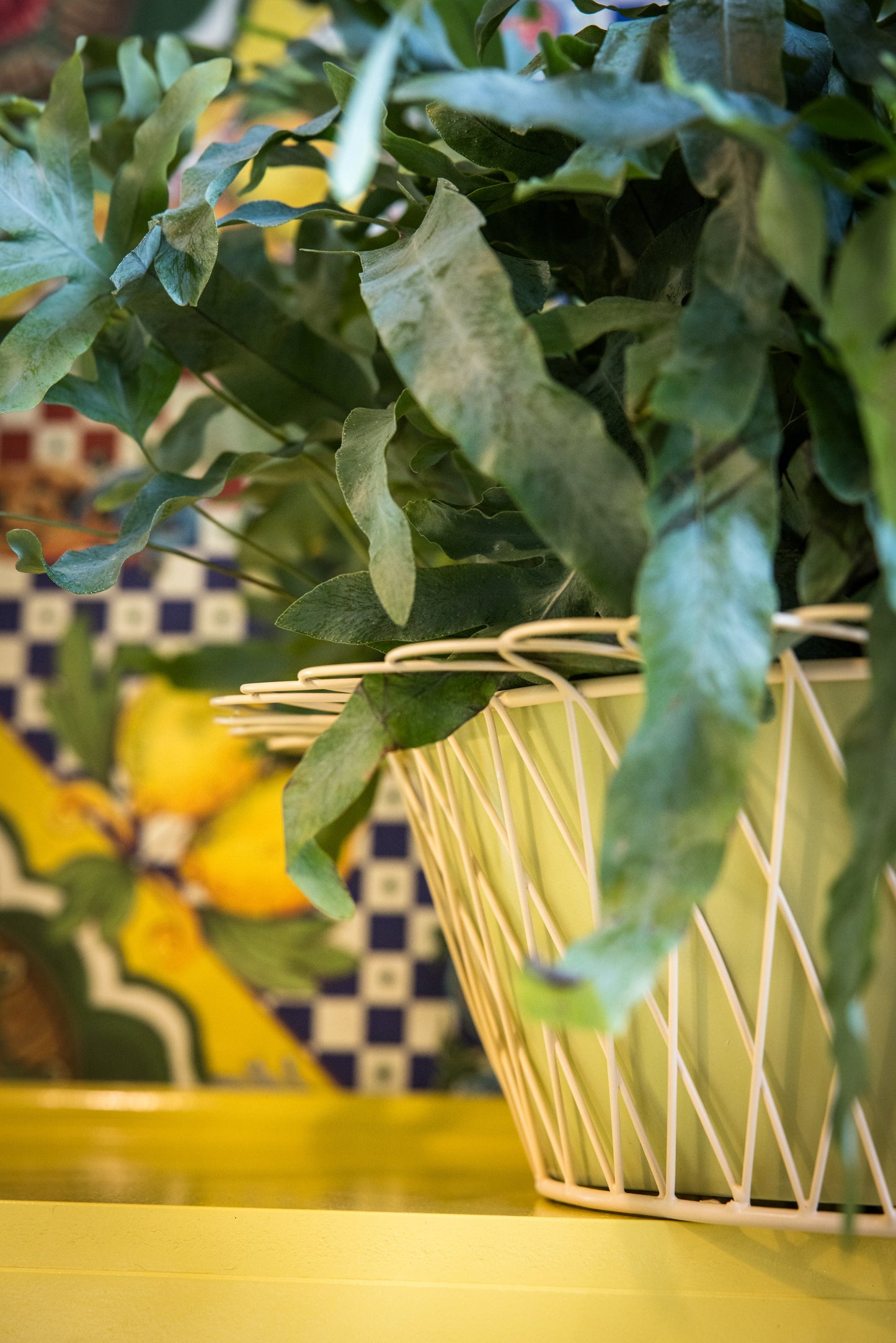 Wire Basket Planter | Sage Green & Blush