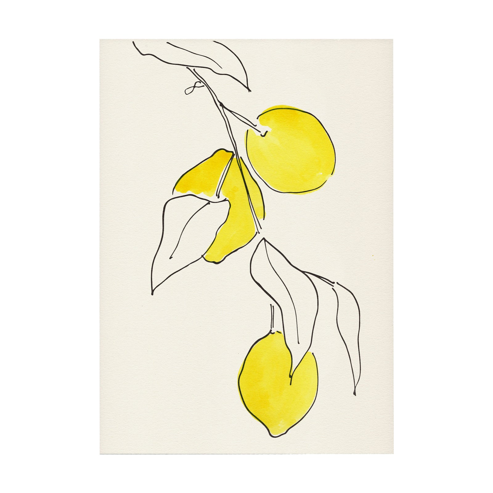 Lemons Print