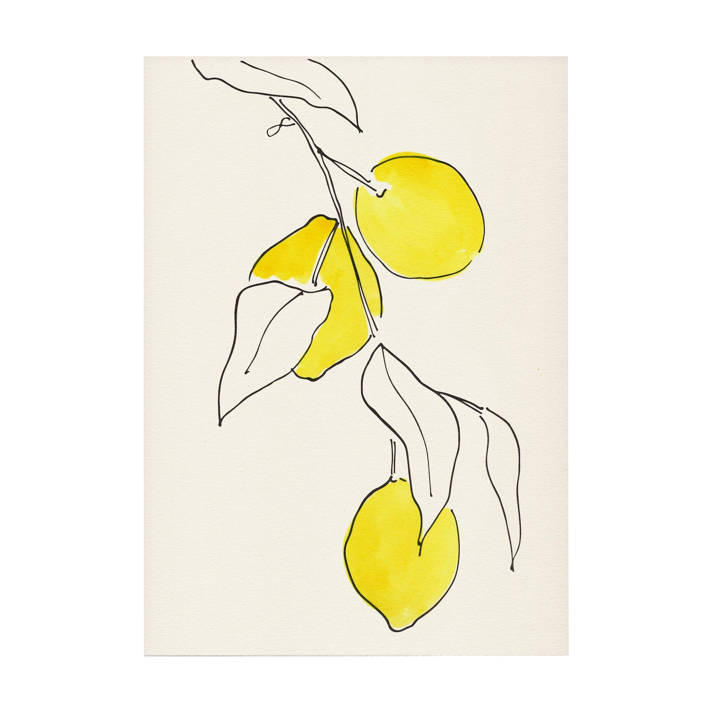 Lemons Print