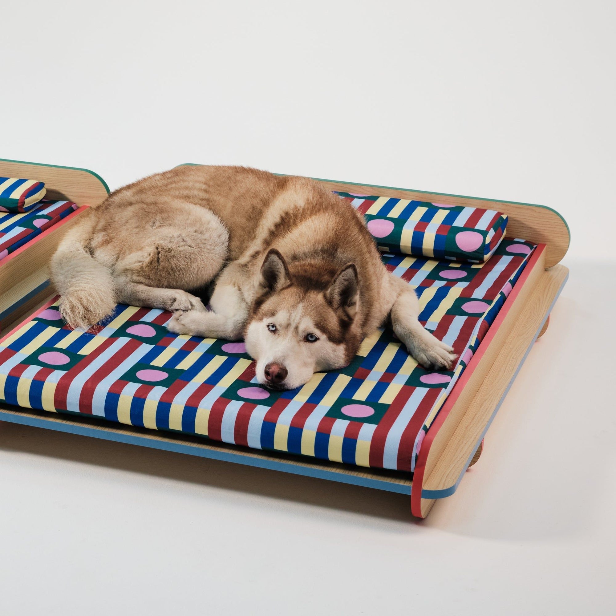 The Leo Bed – Modern Elevated Dog & Cat Bed