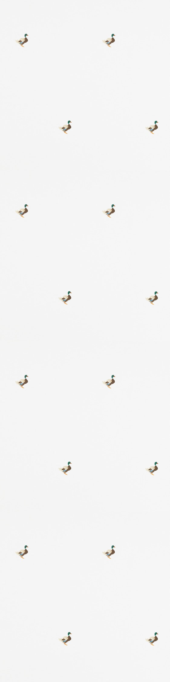 Ducks In A Row Wallpaper – CLASSIC