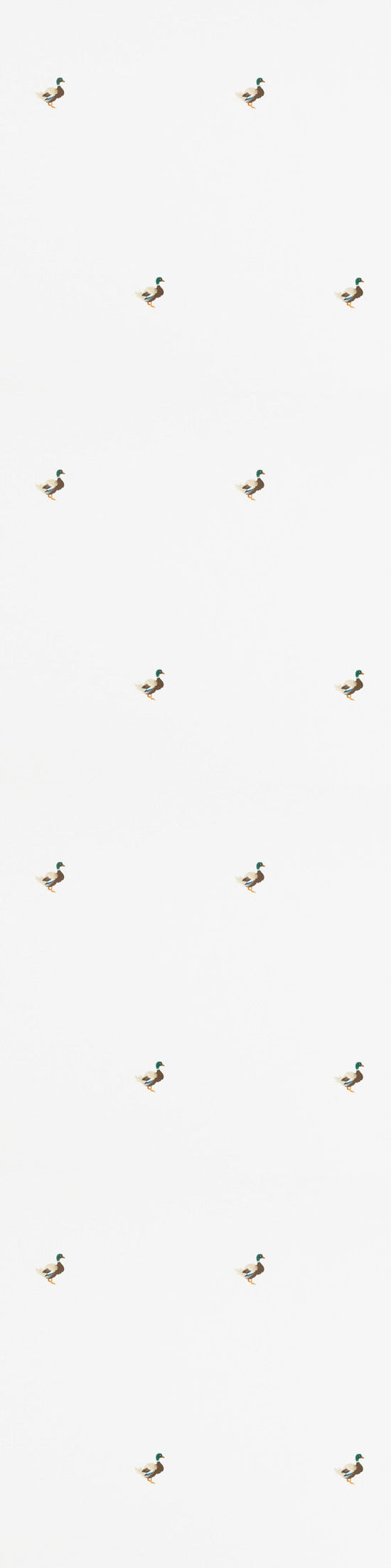 Ducks In A Row Wallpaper – CLASSIC