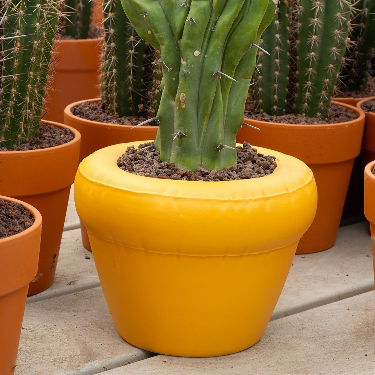 Planter 'PIERRE' Yolk