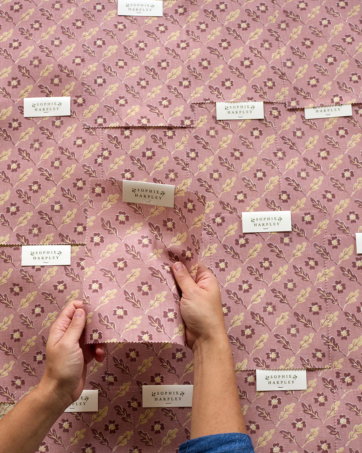 Oxalis Oak Linen - Rose