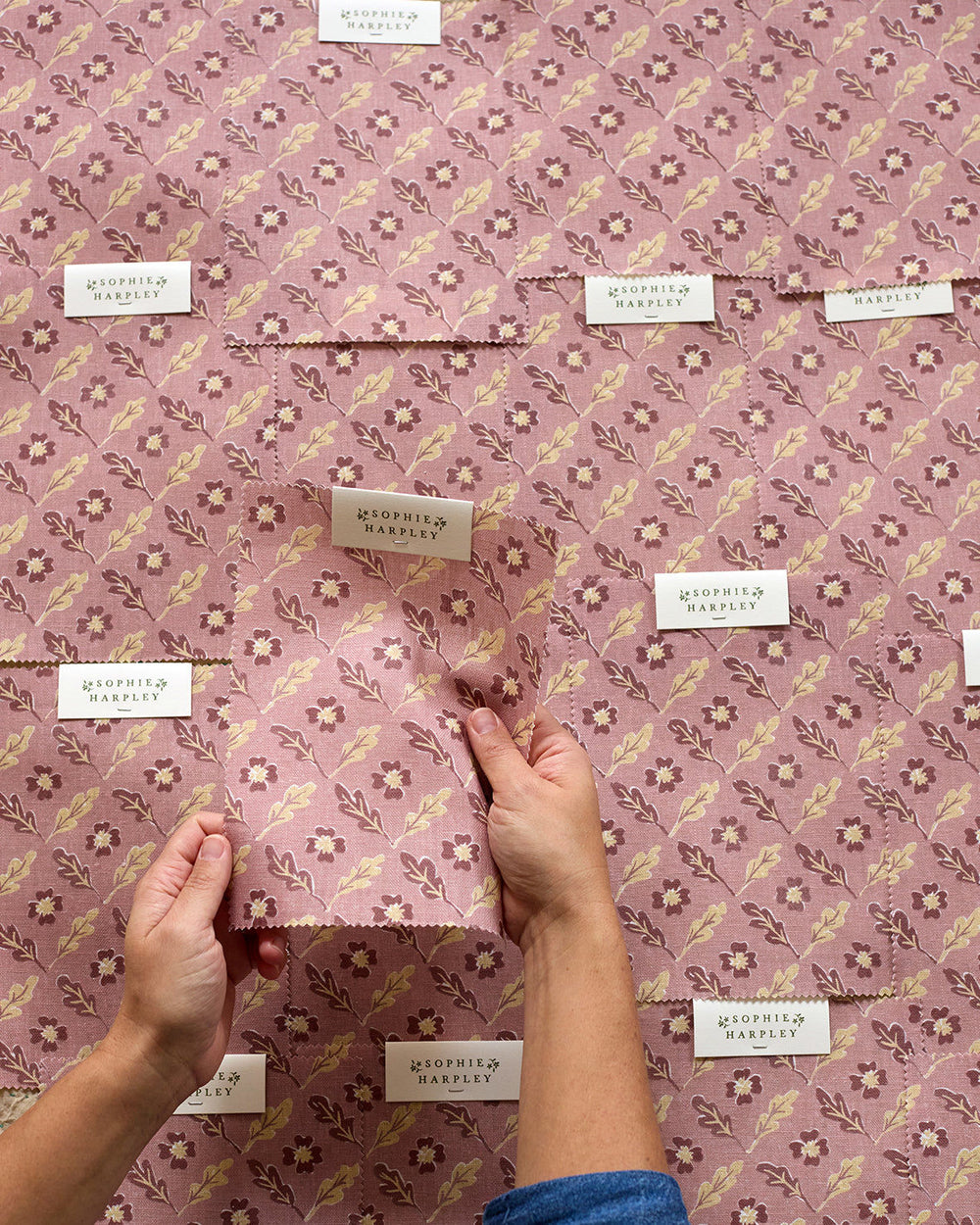 Oxalis Oak Linen - Rose