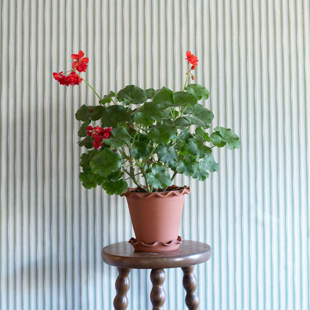 Modern Ticking Wallpaper - Seafoam