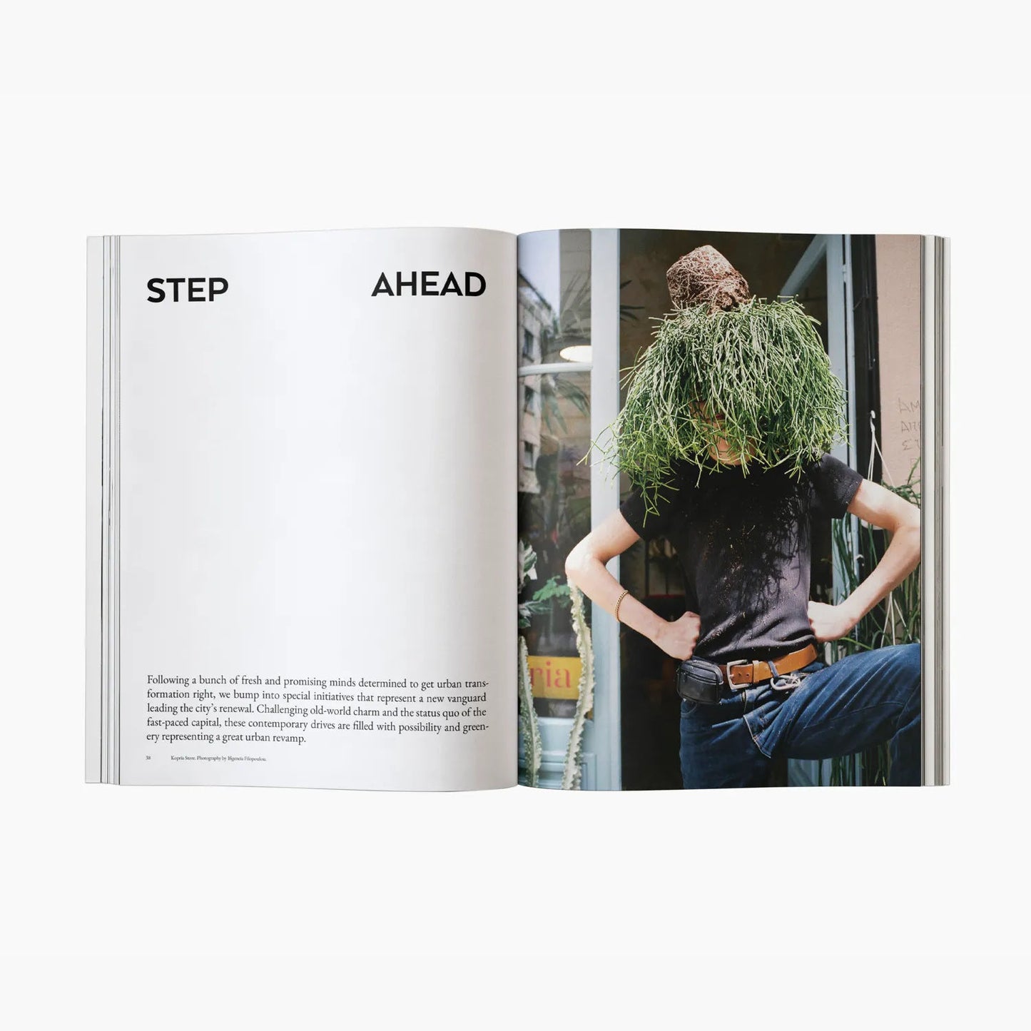 The Greek Foundation Vol 02