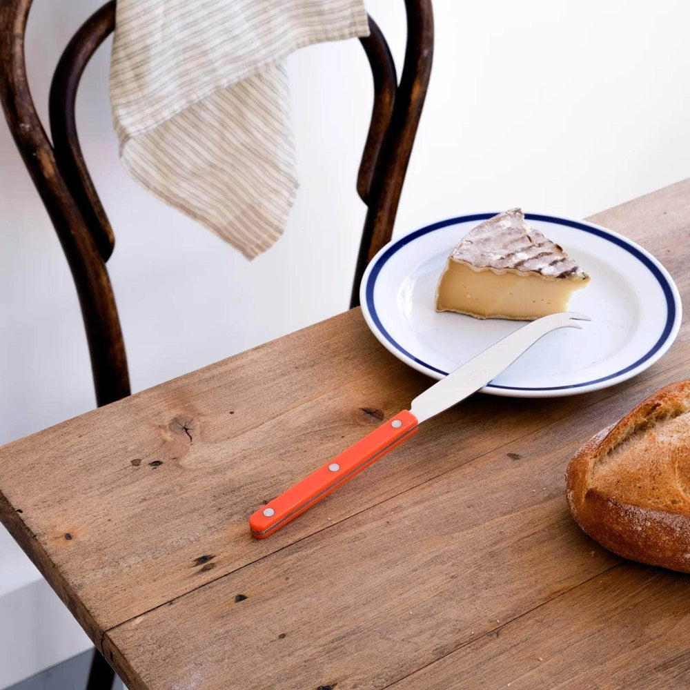 Bistrot Cheese Knife, Orange